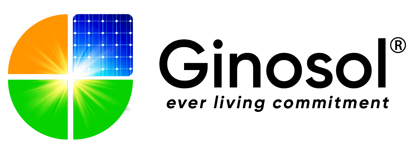 Ginosol - Home Ginosol - Home